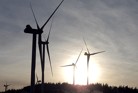 Windmills at sunset at the Kingdom Community Wind facility.