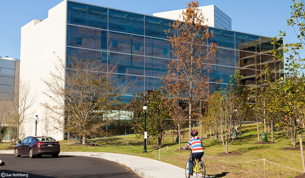  A biker rides by Princeton’s Lewis Center for the Arts.