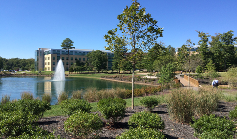 Capital One campus landscape, including a pedestrian bridge and fountain