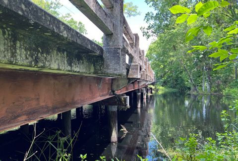 A historic bridge stretches across a swamp 