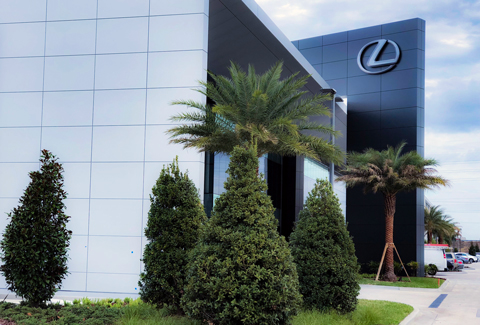 The front of the Lexus building with manicured palms and landscaping.