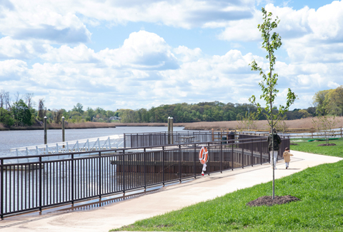 A winding path in a park alongside a body of water.