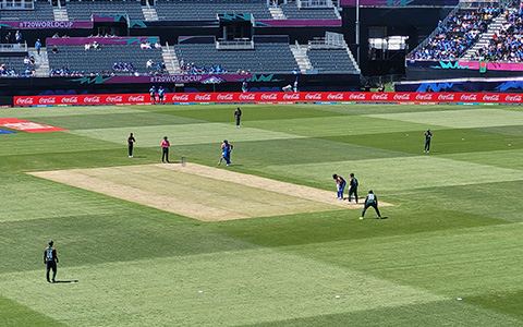 Players playing cricket during World Cup 