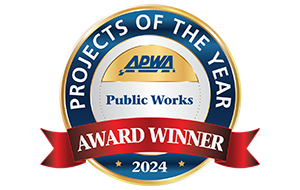 Project of the Year Logo