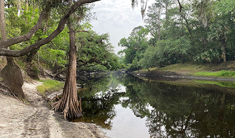 A river with trees and grass