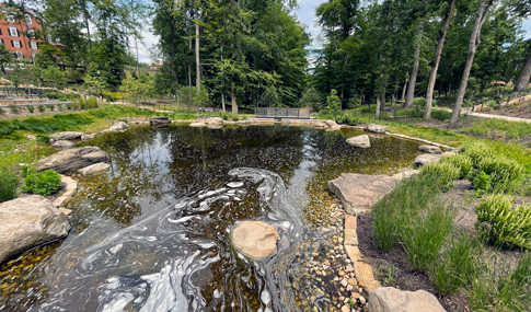 A stormwater feature developed into an attractive amenity on site.