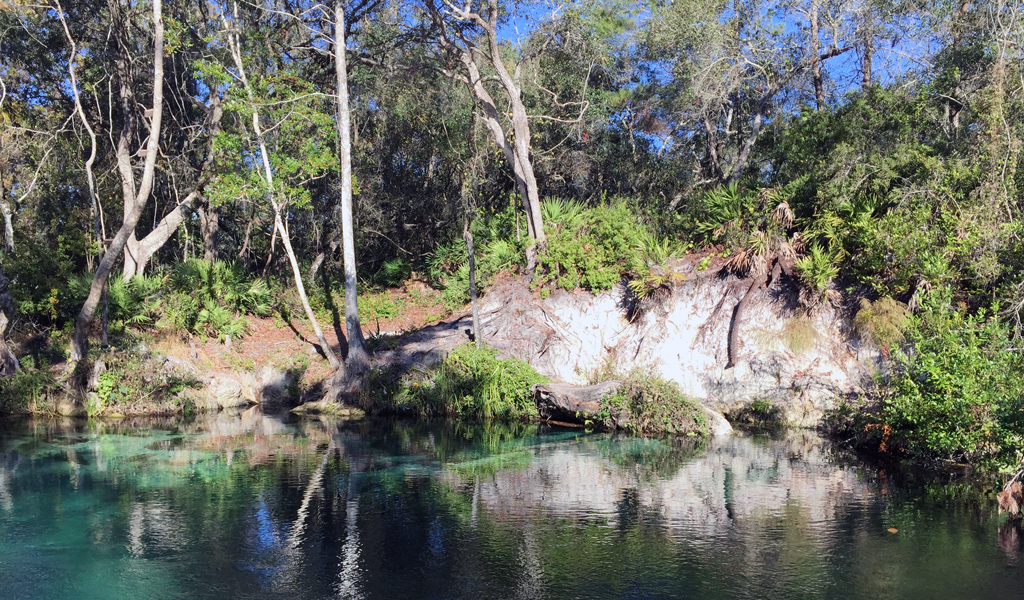 Erosion along a river bank