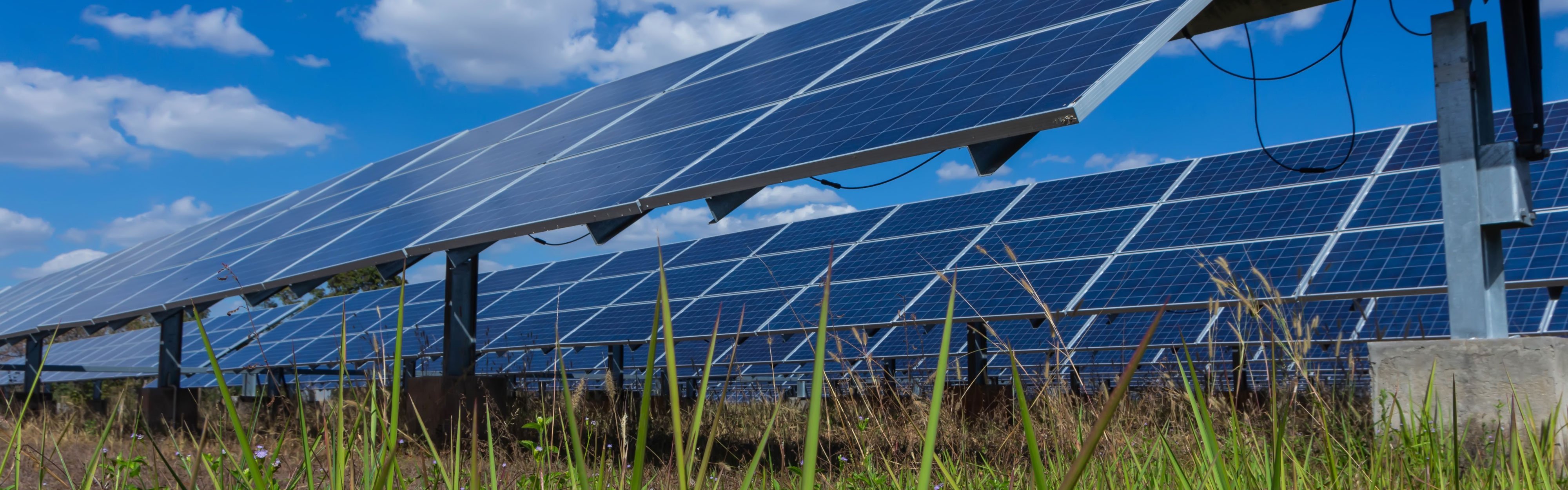 Solar panels in a field