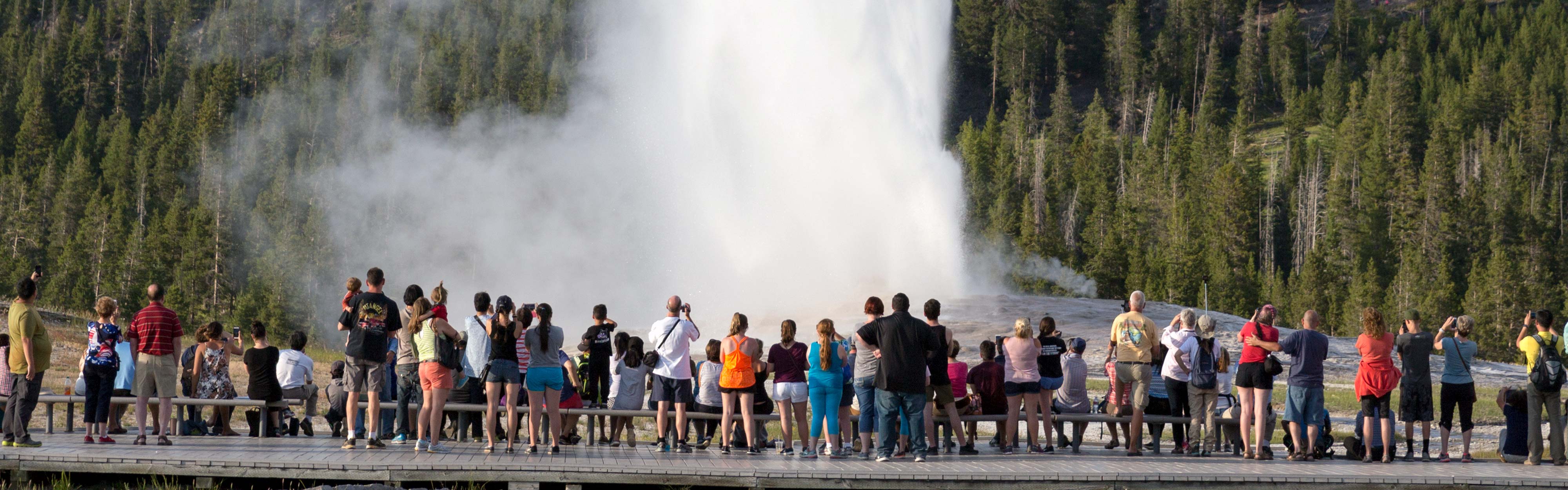 Crowds in front of old faithful in Yellowstone National Park. 