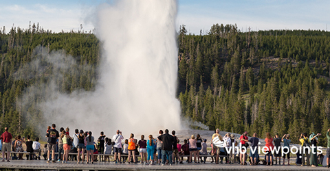 Crowds in front of old faithful in Yellowstone National Park. 